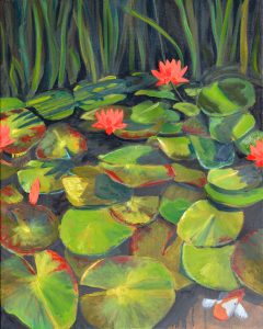 Water Lillies