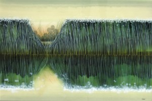 Through the Reeds