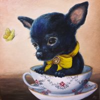 Teacup Pup (Bashful)