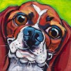 The Hypnotist’s Dog 