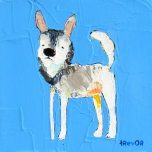 Alaskan Klee Kai