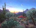 Stephen Morath