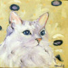 White Cat with Blue 