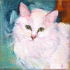 6" x 6"