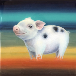  Sooey at Sunset, Andrea Peterson
