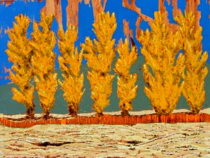 September Sky Poplars