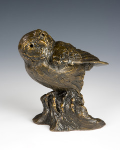 Barbara Duzan, Pygmy Owl