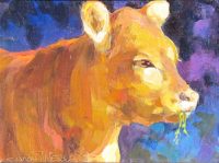 Hungry Baby Calf 