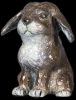 Flopsy