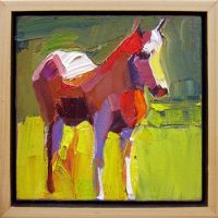 Filly