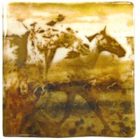 Old West Run
Maura Allen
10" x 10"
glass
$1250