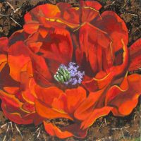 Cactus Bloom
Diane F Barbee
36" x 36"
acrylic on canvas
$3200