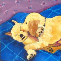 Puppy Love
Judy Feldman
8" x 8"
oil on canvas
$160