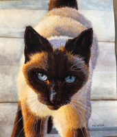 Ol’ Blue Eyes
Patricia Hunter
12" x 10"
watercolor on paper
$375