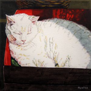 Cat in the Box by Patricia Hunter, 8" x 8", watercolor on paper