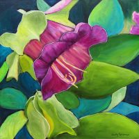 Bloom
Judy Feldman
20" x 20"
oil on canvas
$875