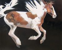 Pegasus
Peggy Judy
48" x 60"
oil on canvas
$12,000