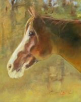 A Prince Among Horses
Chaille Trevor
30" x 24"
oil on canvas
$1300