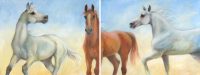 Unbounded Trio (diptych)
Chaille Trevor 
36" x 96"
oil on canvas
$5800