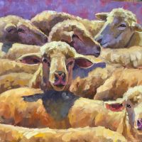 Wooly World
Sarah Webber
30" x 30"
oil on canvas
$2975