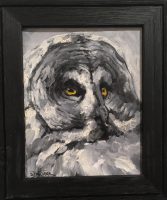 Gray Gaze - Owl
Sarah Webber 
13-1/2" x 11-1/2"
oil on canvas
$250
