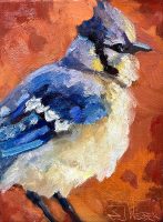Bothered Bluejay
Sarah Webber
7" x 5"
oil on canvas
$250