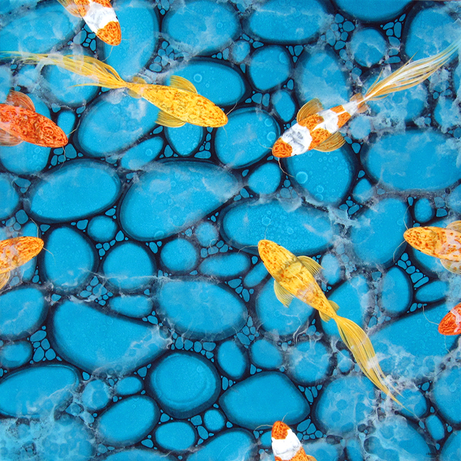 Surfacing Koi by