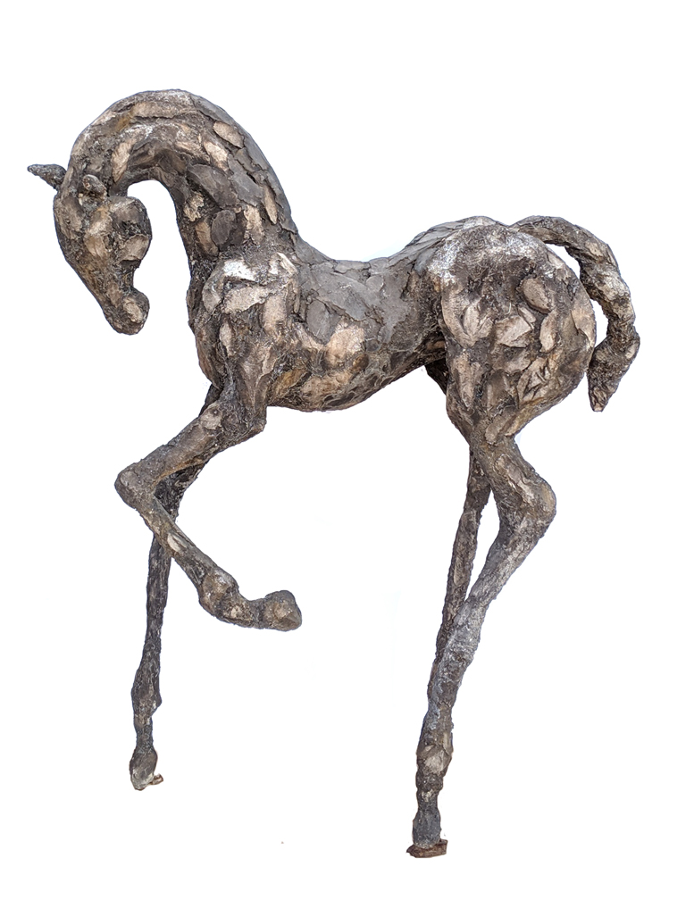 Black Yearling by