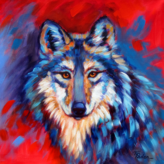 Mexican Gray Wolf by