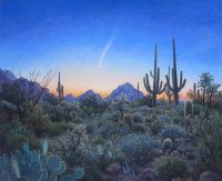 Quiet Dawn, with Comet
Stephen Morath
36" x 44"
acrylic on canvas
$4900