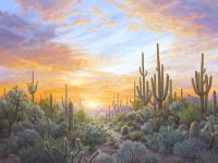 Winter Sunset II
Stephen Morath
36" x 48"
acrylic on canvas