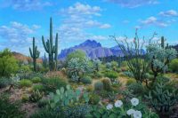 Springtime Cloud and Shadows
Stephen Morath
36" x 54"
acrylic on canvas
$6250