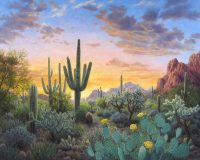 Spring Sunset
Stephen Morath
32" x 40"
acrylic on canvas
$4400