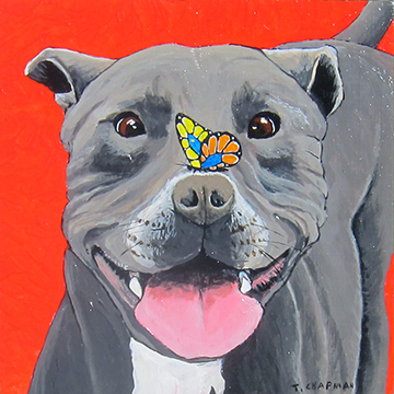 Pit Bull Blend by