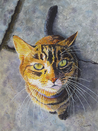 Jules, the Cat by