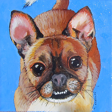 Roger the Chug by