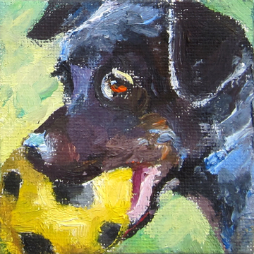 Black Dog with Ball by