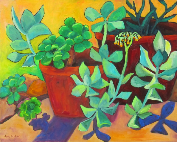 Susan's Succulents by
