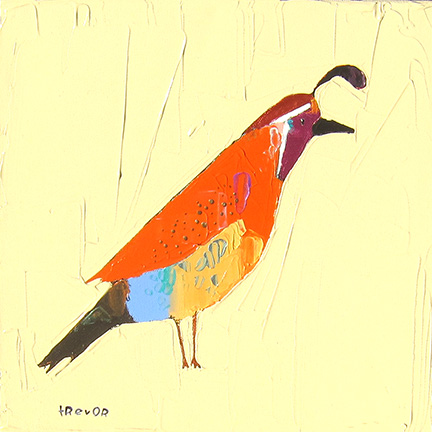 Phoebe by