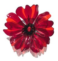 Medium Red and Orange Poppy
Tanya Mirchandani
8" x 3"
glass
$169