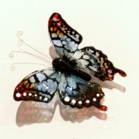 Blue & Red Swallowtail 
Tanya Mirchandani
4" x 4" x 1.5"
glass
$75