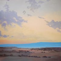 Skyfire
Lawrence Lee
40" x 40"
acrylic on can vas
$4850