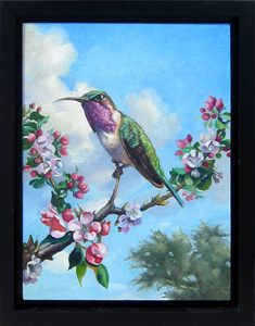 Lucifer Hummingbird by