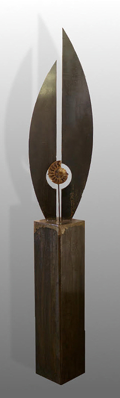 Nautilus by
