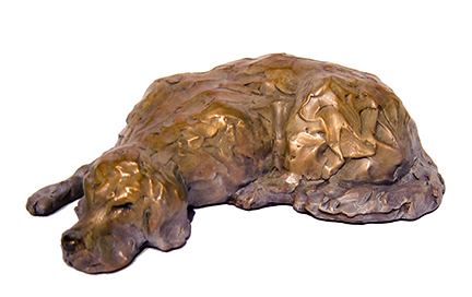 Snoozing Golden  by