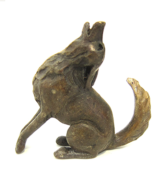 Coyote by