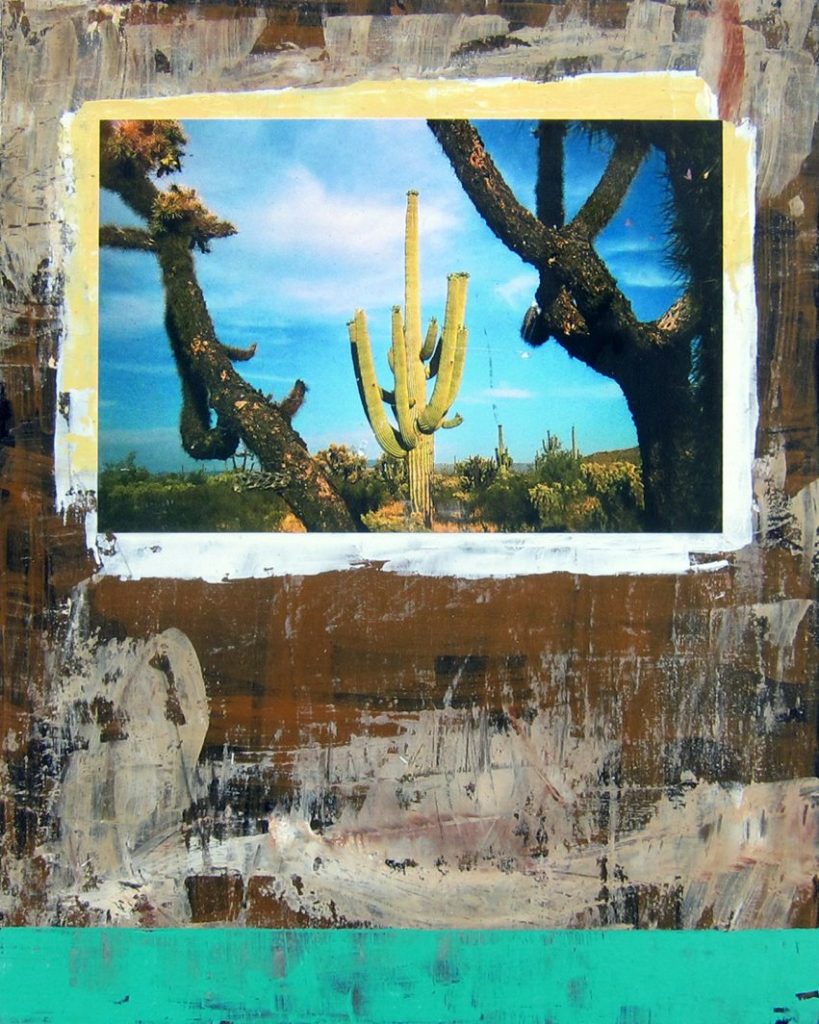Saguaro in Sunlight by