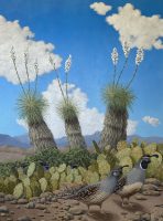 Desert Covey
David Manje
48" x 36"
oil on canvas
$3700