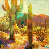 Arizona Saguaros
Greg Heil 
12" x 12"
oil on canvas
$550