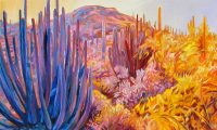 Sonoran Transposal
Greg Heil
36" x 60"
oil on canvas
$4750